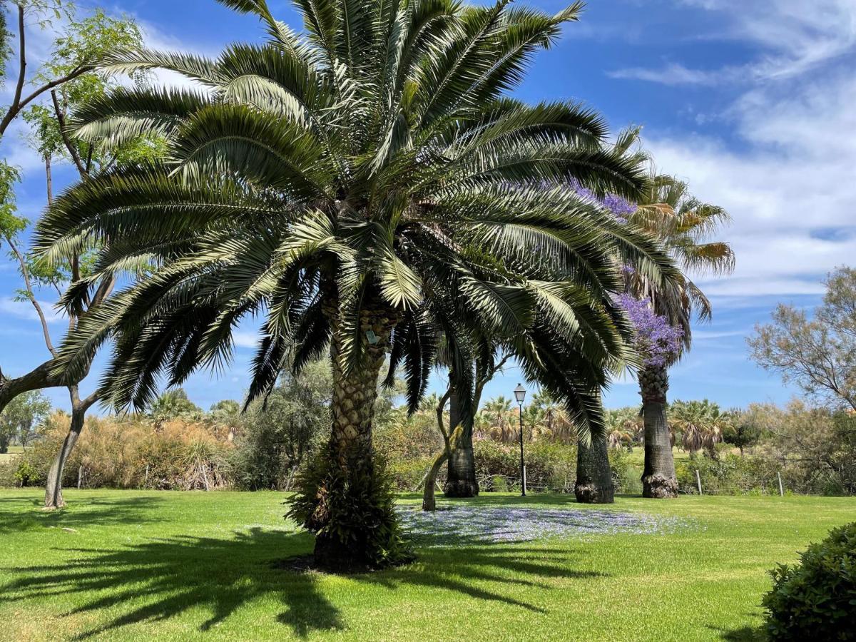 Golf, Kitesurf, Tennis, Paddle, Free Bicycles - Apartment Andalusia Isla Canela Bagian luar foto